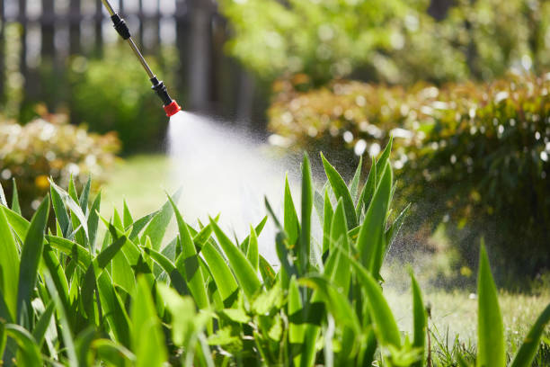24/7 Emergency Wasp Removal experts in Hayneville, AL