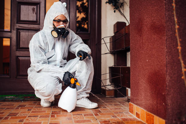 Reliable Wasp Removal contractor in Hayneville, AL by Show Me Pest Control